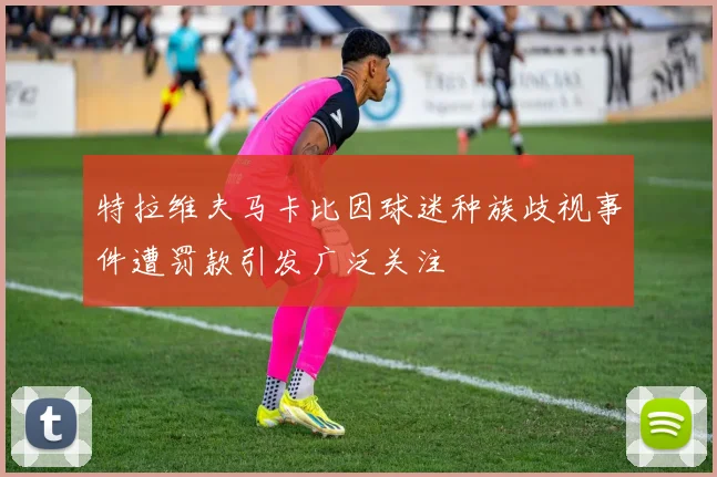 特拉维夫马卡比因球迷种族歧视事件遭罚款引发广泛关注