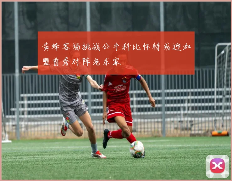 黄蜂客场挑战公牛科比怀特或迎加盟首秀对阵老东家