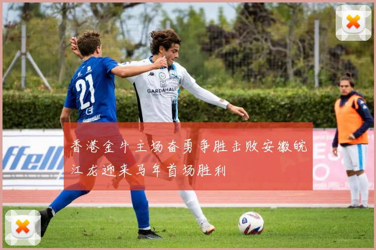 香港金牛主场奋勇争胜击败安徽皖江龙迎来马年首场胜利