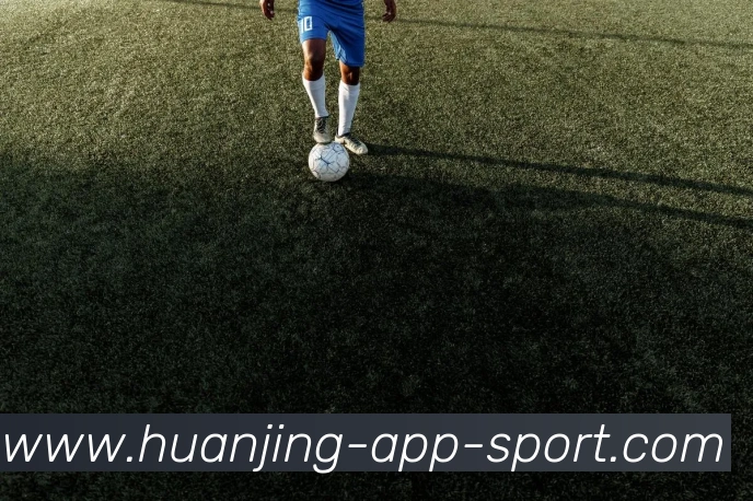 App Interface Preview